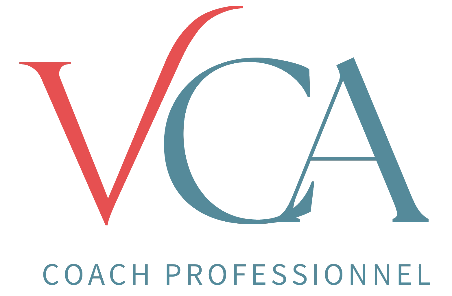 VCA-coach-professionnel-big